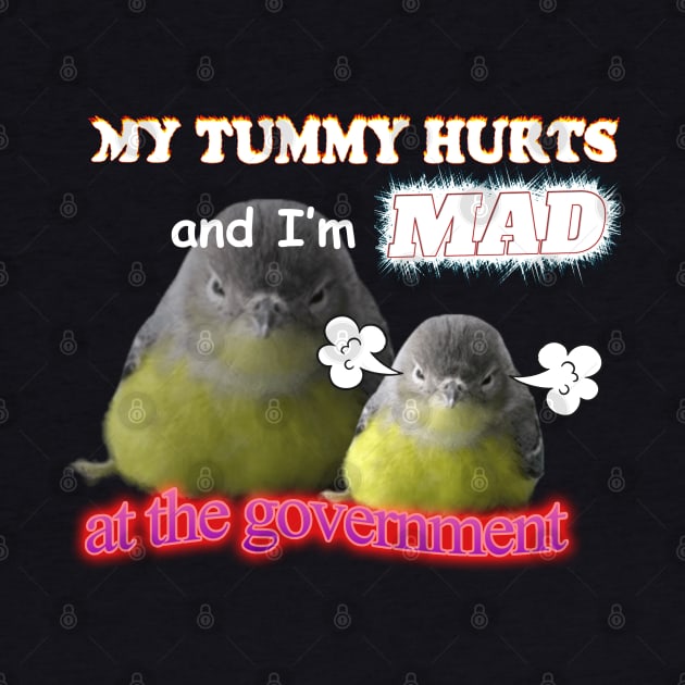 My Tummy Hurts And I'm Mad At The Government Meme by swankyswamprat